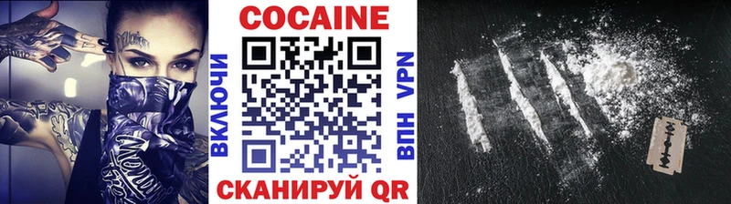 Cocaine FishScale  наркотики  Заводоуковск 