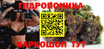 шишки Малгобек