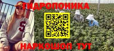 шишки Малгобек