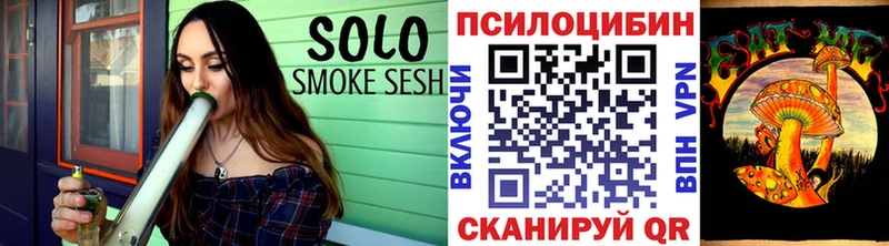 дарнет шоп  Заводоуковск  Псилоцибиновые грибы Cubensis 