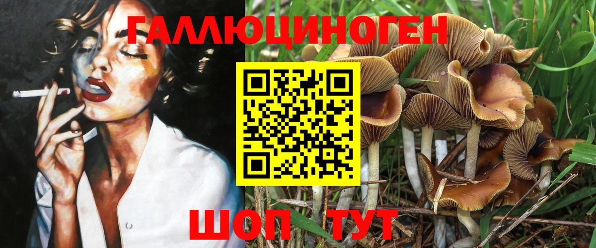 Галлюциногенные грибы GOLDEN TEACHER  Вход с VPN  Заводоуковск  Галлюциногенные грибы ЛСД 