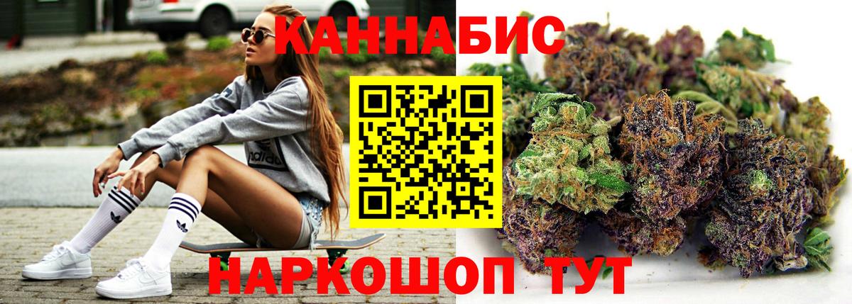 Бошки Шишки семена  Вход с VPN  МАРИХУАНА сатива  Заводоуковск  МАРИХУАНА план 